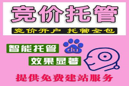 突破瓶颈：托管竞价SEM实战案例分析